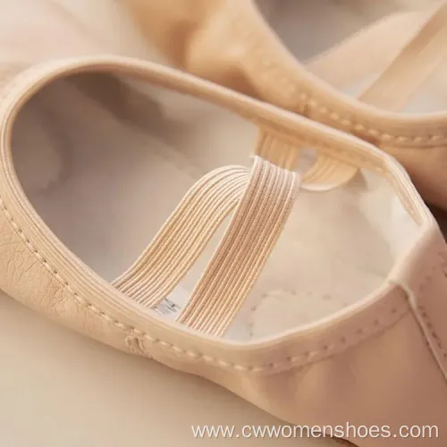 Stylish E5013 Canvas Split Sole Ballet Dance Shoes for Women